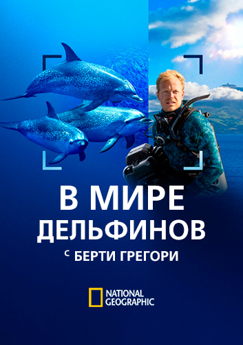 NG. В мире дельфинов с Берти Грегори / Dolphins Up Close with Bertie Gregory (2025) WEB-DL [H.265/2160p] [4K, HDR, 10-bit]
