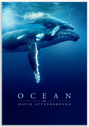 NG: Дэвид Аттенборо: Океан / Океан с Дэвидом Аттенборо / Ocean with David Attenborough (2025) WEBRip [H.264/1080p] [DVO]