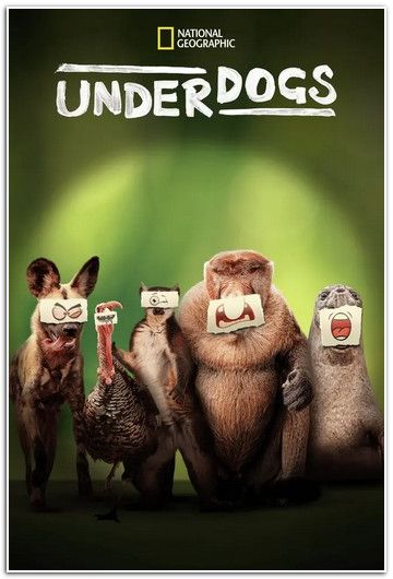 NG: Аутсайдеры / Underdogs (2025) WEBRip [H.264/1080p] (сезон 1, серии 1-5 из 5) Сoldfilm
