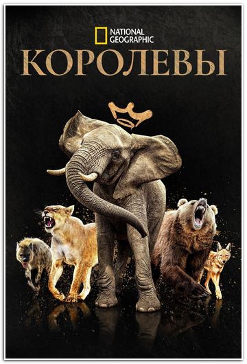 NG: Королевы / Queens (2024) WEBRip [H.264/1080p] (сезон 1, серии 1-7 из 7)