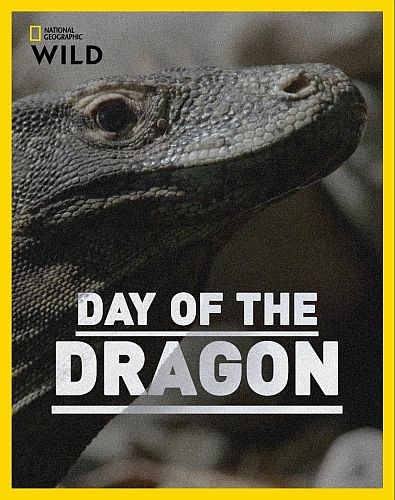 NG: День дракона / Day of the Dragon (2024) HDTVRip [H.264] [VO]