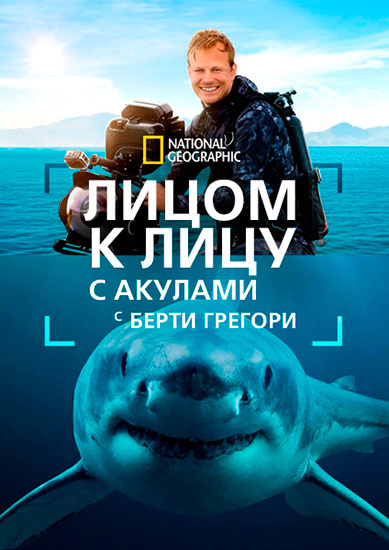 NG. Лицом к лицу с акулами с Берти Грегори / Sharks Up Close with Bertie Gregory (2025) WEB-DL [H.264/1080p]