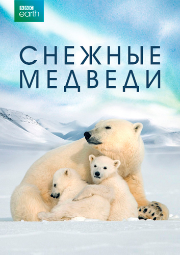 BBC. Снежные медведи / Snow Bears (2017) WEB-DL [H.264/1080p]