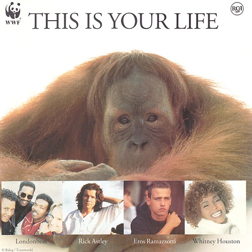 VA - This Is Your Life (1991) [FLAC|Lossless|tracks + .cue] <Pop>