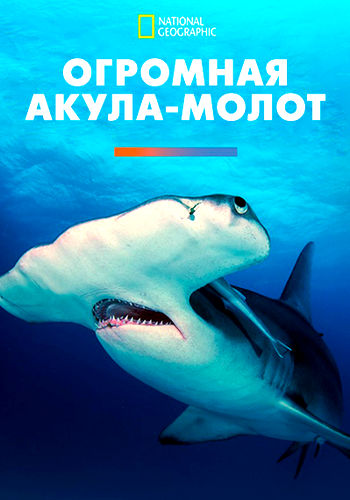 NG. Огромная акула-молот / Mega Hammerhead (2016) WEB-DL [H.264/1080p]