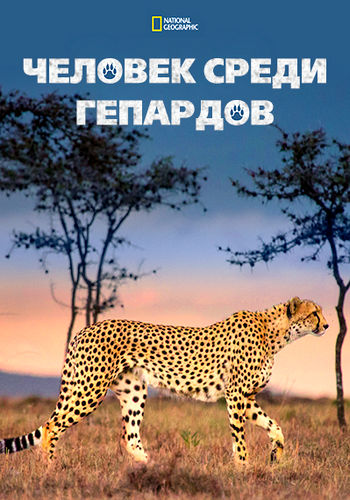 NG. Человек среди гепардов / Man Among Cheetahs (2017) WEB-DL [H.264/1080p]