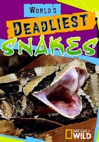 NGW: Самые смертоносные змеи в мире / World's deadliest snakes (2020) HDTV [H.264/1080i] [hand made 50fps] (Сезон 1, серии 1-3)