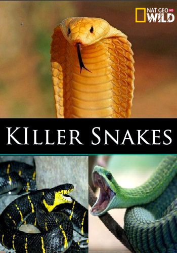 NGW. Змеи-убийцы / Killer snakes (2021) HDTV [H.264/1080i] [hand made 50fps]
