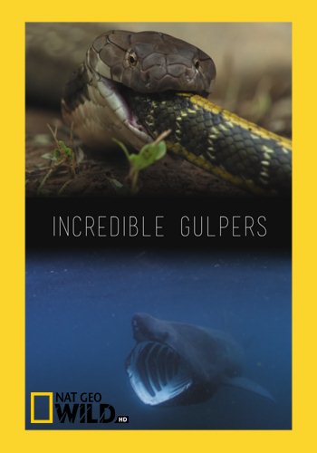 NGW: Удивительные большероты / Incredible Gulpers (2016) HDTVRip [H.264/720p-LQ]