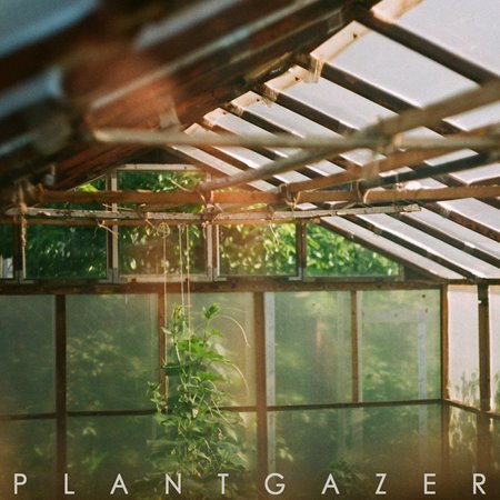 Show Me A Dinosaur - Plantgazer (2020) Limited Edition [FLAC|Lossless|tracks + .cue] <Blackgaze, Post Black Metal, Post Rock>