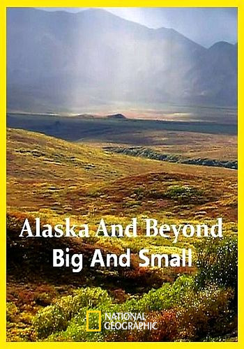 Фауна Аляски: От мала до велика / Alaska And Beyond: Big And Small (2022) HDTVRip