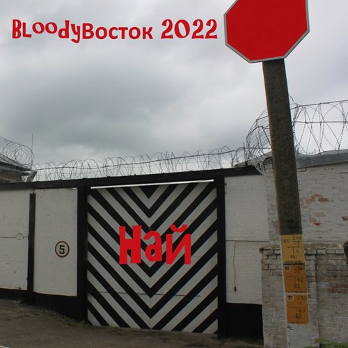 Най - Bloodyвосток 2022 (2022) [FLAC|Lossless|WEB-DL|tracks] <Pop Rock>