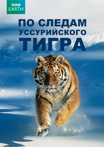 BBC. По следам уссурийского тигра / Operation Snow Tiger (2013) BDRemux [H.264/1080p] (серии 1-2 из 2)