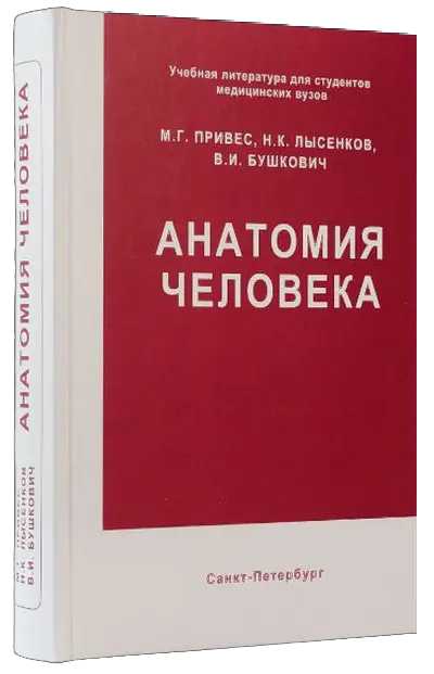 М.Г. Привес, Н.К. Лысенков, В.И. Бушкович | Анатомия человека (2006) [PDF, DJVU]