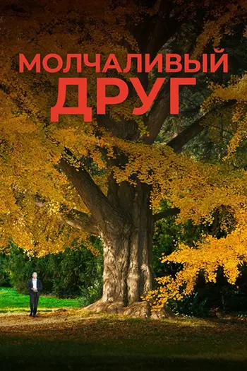 Молчаливый друг / Stille Freundin / Silent Friend (2025) WEB-DLRip [H.264]