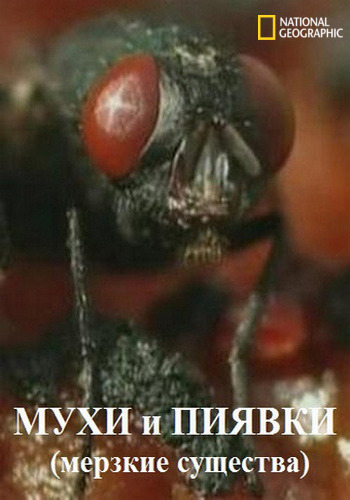 NG. Мухи и пиявки (мерзкие существа) / Flies and leeches (2004) TVRip