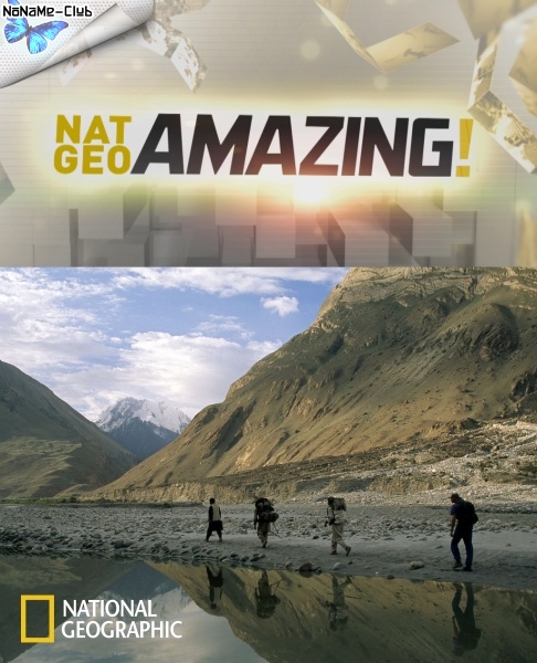 NG: Удивительный мир с NAT GEO / NAT GEO Amazing (2010) SATRip [выпуски 1-10]