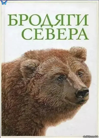 Бродяги Севера (1983) SATRip