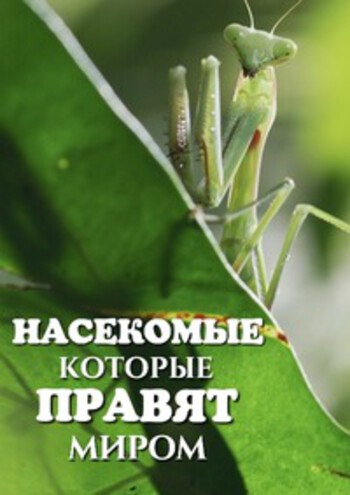 PBS: Насекомые, которые правят миром / Bugs That Rule the World (2025) WEB-DL [H.265/2160p] [4K, SDR] (сезон 1, серии 1-4 из 4) Pazl Voice