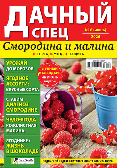 Журнал | Дачный спец №6 (июнь 2026) [PDF]