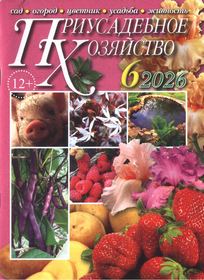 Журнал | Приусадебное хозяйство №6 (468) (июнь 2026) [PDF]