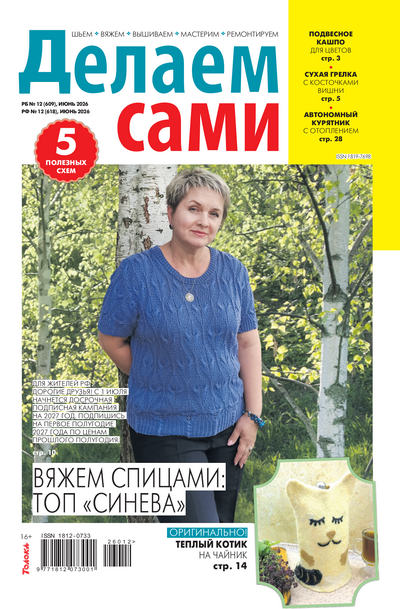 Журнал | Делаем сами №12 (618) (июнь 2026) [PDF]