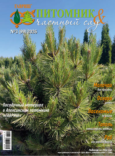 Журнал | Питомник и частный сад №3 (99) (2026) [PDF]