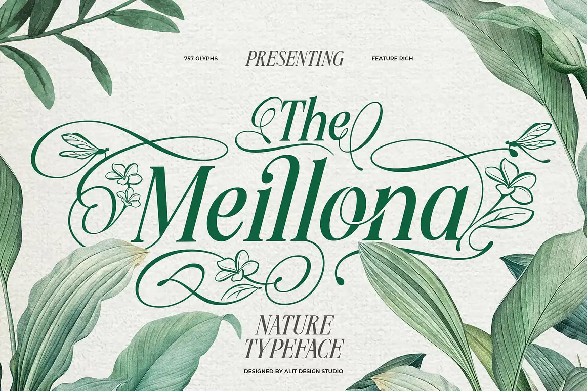 Шрифты - Creative Market - Meillona Typeface - 291657251 [OTF, TTF, WOFF]