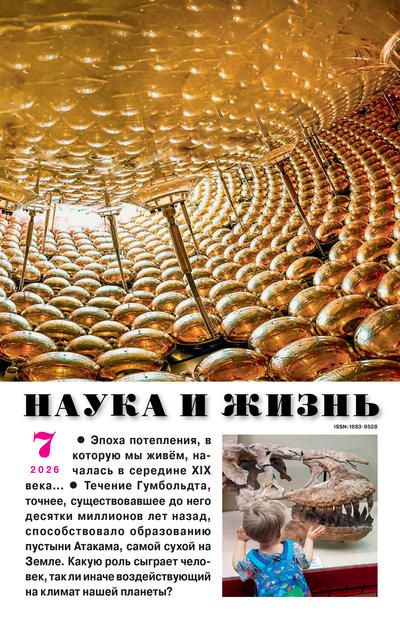 Журнал | Наука и жизнь №7 (июль 2026) [PDF]