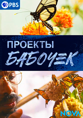 PBS Nova: Проекты бабочек / Butterfly Blueprints (2022) WEB-DL [H.264/1080p] (cезон 48, эпизод 23)