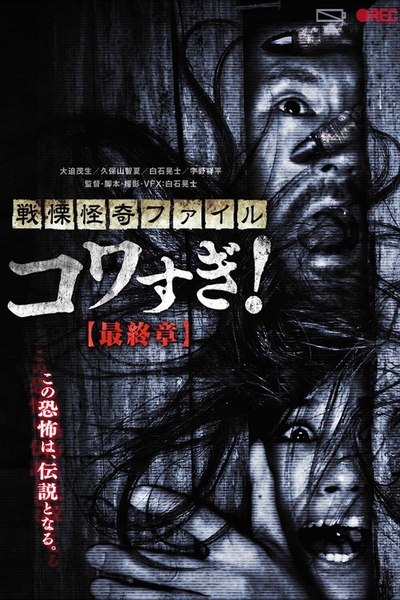 Ужасающие материалы: Последняя глава / Senritsu Kaiki File Kowasugi: Final Chapter (2015) WEB-DLRip [H.264/1080p] [DVO]
