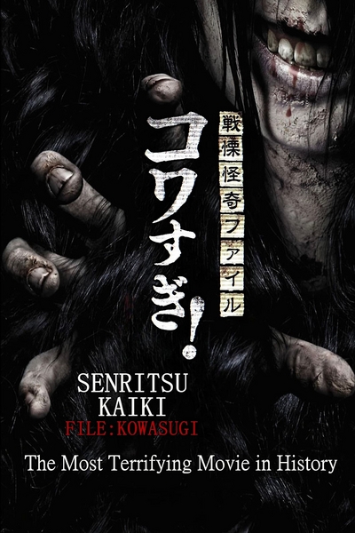 Ужасающие материалы: Самый страшный фильм в истории / Senritsu Kaiki File Kowasugi: The Most Terrifying Movie in History (2014) WEB-DLRip [H.264/1080p] [DVO]