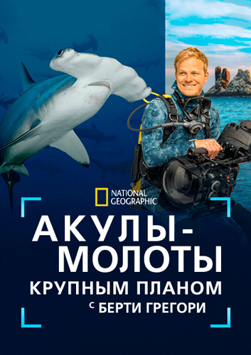 NG. Акулы-молоты крупным планом с Берти Грегори / Hammerhead Sharks Up Close with Bertie Gregory (2026) WEB-DL [H.265/2160p] [4K, HDR, 10-bit]