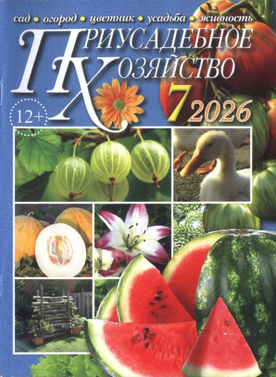 Журнал | Приусадебное хозяйство №7 (469) (июль 2026) [PDF]