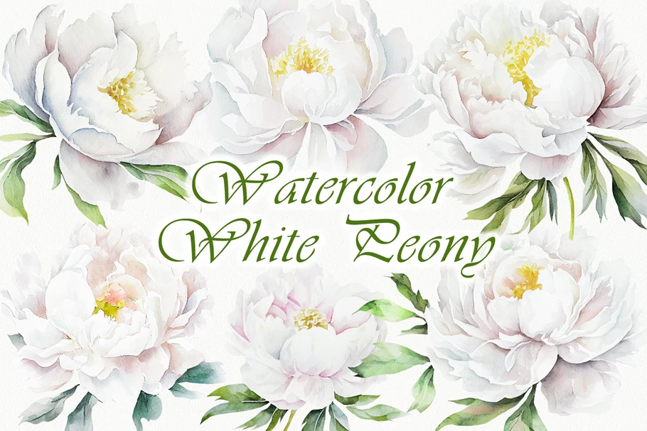 Иллюстрации (клипарт) - White Peony Watercolor Clipart - 2487884 [PNG]