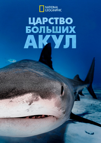 NG. Царство больших акул / Big Sharks Rule (2018) WEB-DL [H.264/1080p]