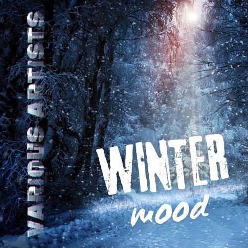 VA - Winter Mood (2024) [MP3|320 Kbps] <Ambient>