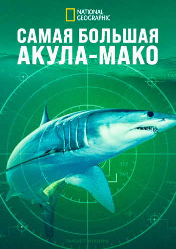NG. Самая большая акула-мако / World's Biggest Mako (2026) WEB-DL [H.264/1080p]